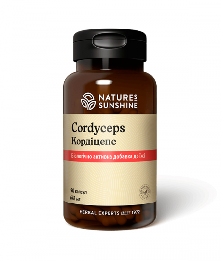 Cordyceps
