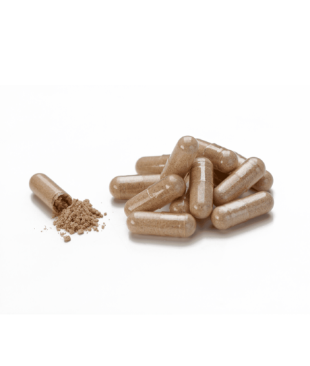 Milk Thistle