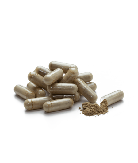 Olive Leaf Extract