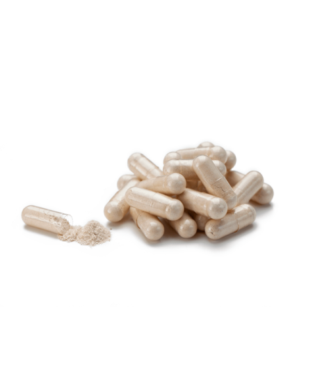 Paw Paw Cell - Reg