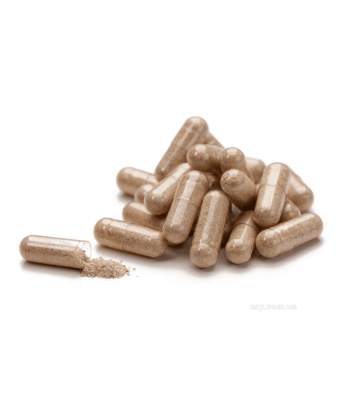 Fat Grabbers
