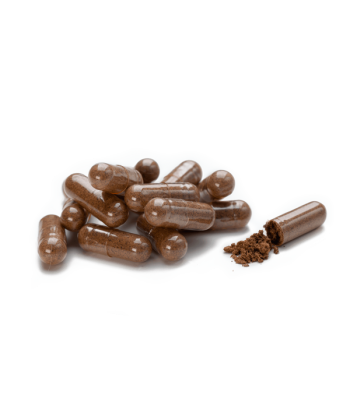 Morinda