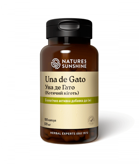 Una de Gato