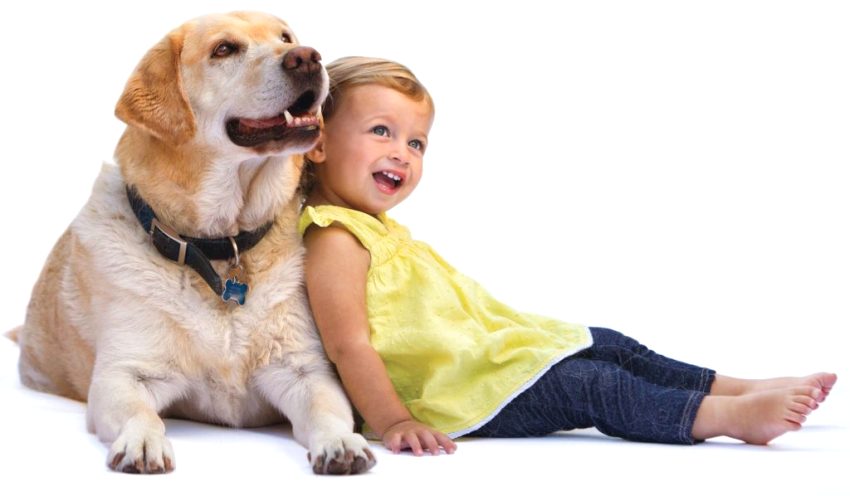 Allegy Living - Horizontal - dog and child - lab