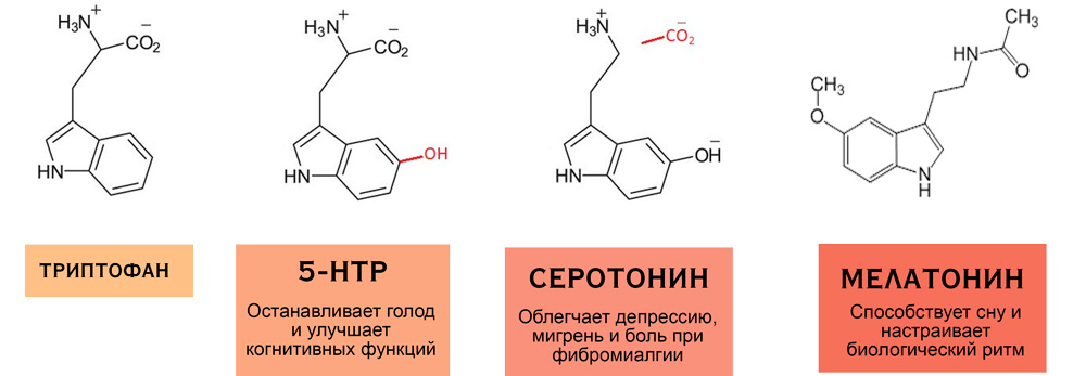 Купить в Молдове Бады - 5-HTP Power (5 Эйч Ти Пи Пауэр НСП) натуральный антидепрессант с 5-гидрокситриптофан, триптофан от депрессии на официальном сайте NSP Moldova. 