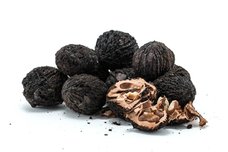 Black Walnut NSP (Черный орех НСП) на официальном сайте NSP Moldova Купить в Молдове Бады