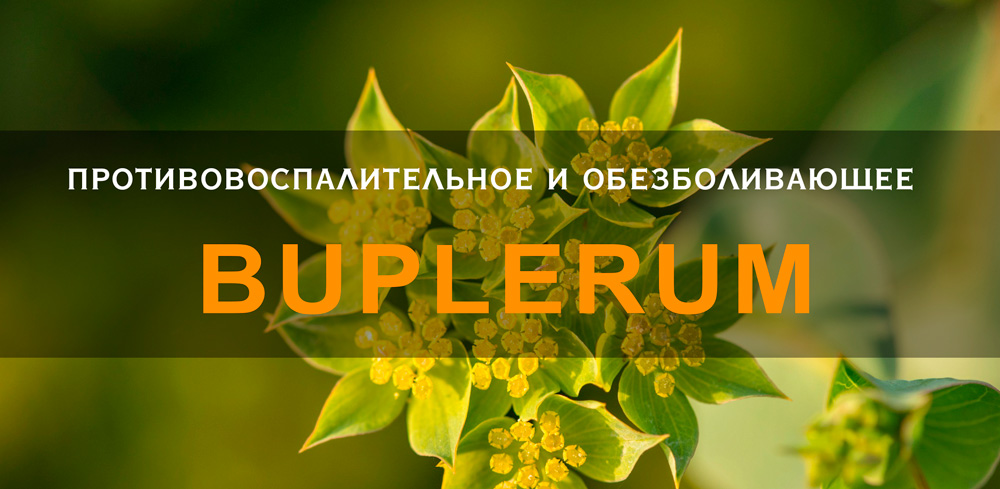 Купить в Молдове Бады противовоспалительное и обезболивающее средство Buplerum plus NSP (Буплерум плюс НСП) на официальном сайте NSP Moldova 