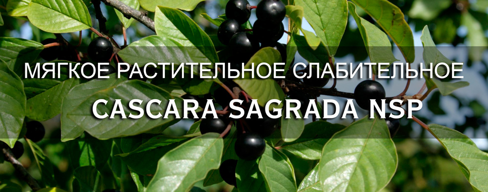 Купить в Молдове Бады - эффективное мягкое слабительное для очищения организма Cascara Sagrada NSP (Каскара Саграда НСП) на официальном сайте NSP Moldova. 