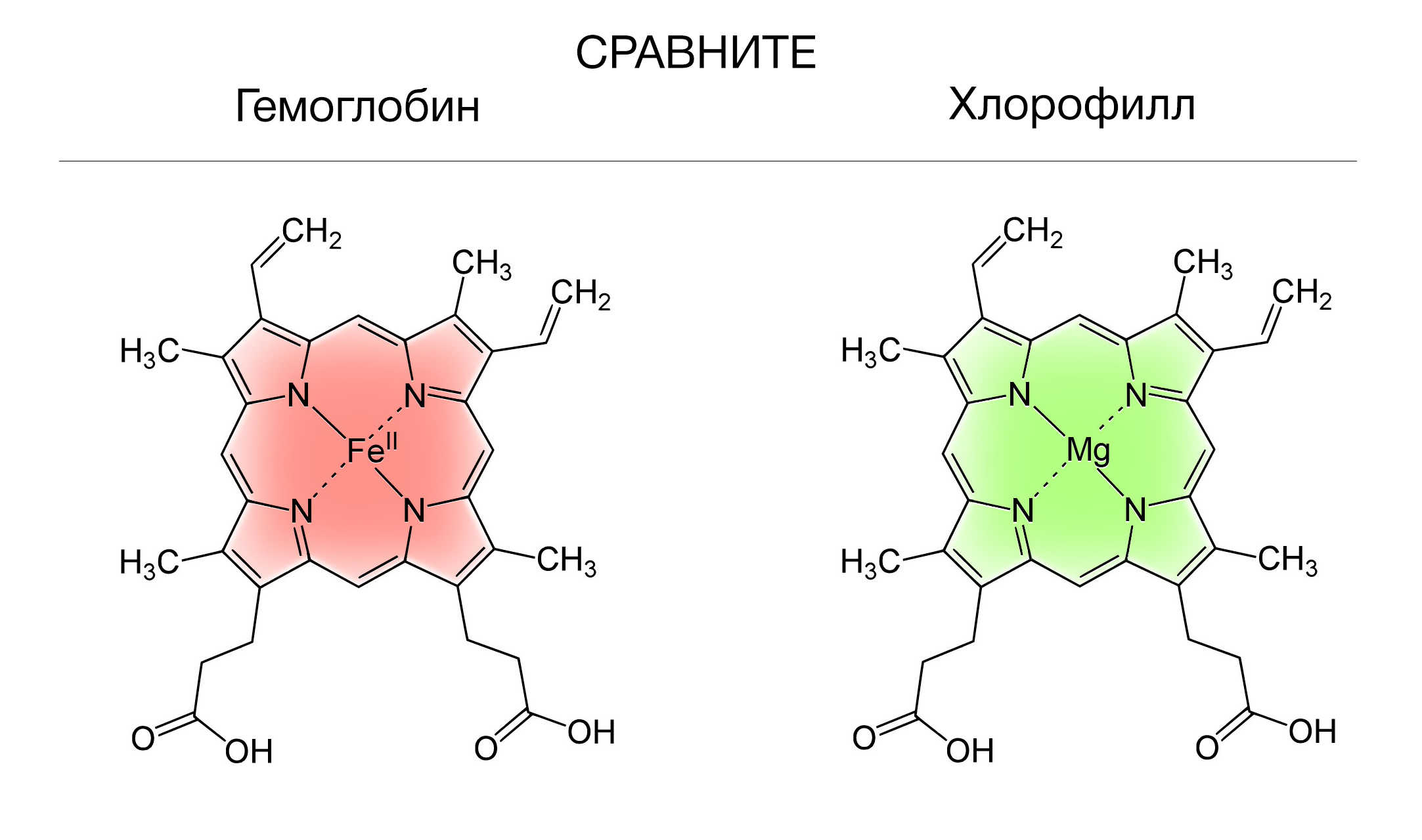 Купить в Молдове Бады - Хлорофилл жидкий НСП (Chlorophyll Liquid NSP) экстракт хлорофилла из люцерны на официальном сайте NSP Moldova. 